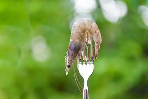 camarones en un tenedor cerca arriba - Fresco crudo camarón langostinos con naturaleza verde antecedentes para cocido comida en al aire libre foto