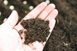 soil on hand farmer for planting plants in farming agriculture photo