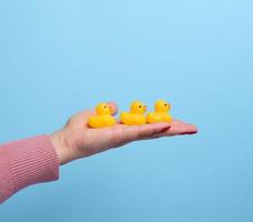 A woman's hand holds a yellow rubber duck on a blue background, a bath toy photo