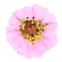 flower element for artwork png