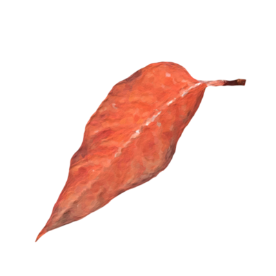 Orange Leaf PNGs for Free Download
