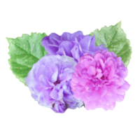 ro blomma element png
