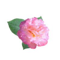 wijnoogst bloemen ontwerp element png