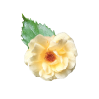 wijnoogst bloemen ontwerp element png