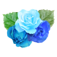 roses flower element png