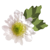 flower element for artwork png