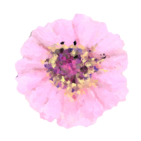 flower element for artwork png