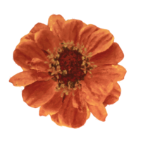 flower element for artwork png