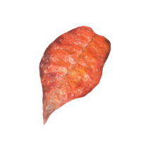 autunm leaf transparent png