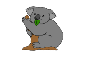Cute koala on the tree is eating the leaves png