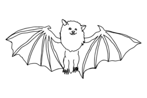 Adorable Bat flying png