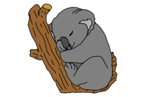 süß Koala Schlafen auf ein Baum png