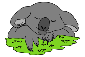 mignonne koala en train de dormir sur le herbe png