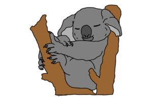 süß Koala Schlafen auf ein Baum png