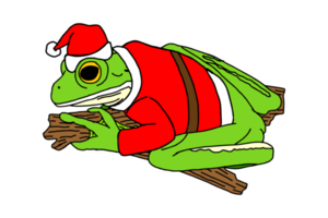 dalle labbra bianche albero rana nel Natale Santa Claus costume png