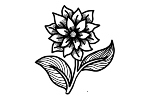 A flower with two leaves Line Art png