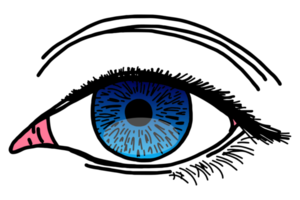 un occhio con blu allievi vettore png