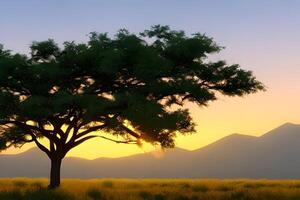 silueta de acacia arboles a un dramático puesta de sol en África. foto