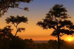 Silhouette of Acacia Trees at a dramatic sunset in Africa. photo