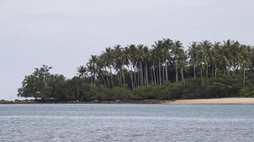 An island on the across the ocean that is grown by green tropical trees is very natural. Suitable for background. photo