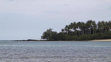 An island on the across the ocean that is grown by green tropical trees is very natural. Suitable for background. photo