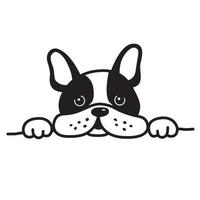 dog vector french bulldog icon cartoon illustration character white