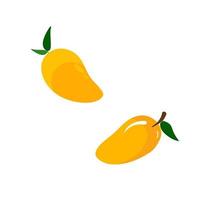 Mango fruit vector icon. Mango in flat style. Vector illustration of tropical fruit