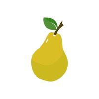 Pear icon vector illustration. Green colorful pear fruit icon isolated on white background. Cartoon flat design. Vector illustration.