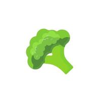 Broccoli Icon vector. Broccoli vegetable fresh farm healthy food. Broccoli colorful realistic icon vegetables symbol on white background. vector