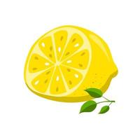 Half of lemon vector