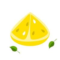 Slice of lemon vector