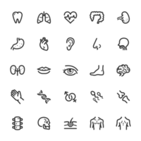 icône ensemble - Humain anatomie ligne icône png