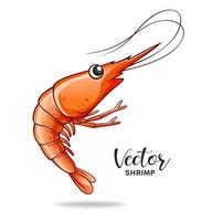 Shrimp design, vector isolated on white background, illustration