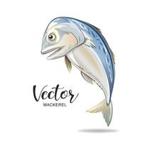 caballa pescado vector, popular comida en Tailandia aislado en blanco fondo, ilustración vector