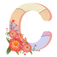 floral alfabeto, letras conjunto con acuarela hoja. monograma iniciales perfectamente para Boda invitaciones, saludo tarjeta, logo, póster y otro diseño. fiesta diseño mano cuadro. png