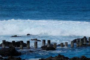 nadando quinielas de agaete en el isla de gran canaria en el atlántico océano. foto