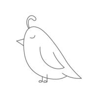 Hand drawn bird illustration. Isolated on white background vector