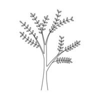 Hand drawn illustration spring tree. vector