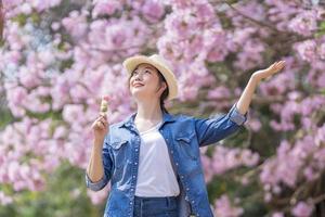 Asian woman holding the sweet hanami dango dessert while walking in the park at cherry blossom tree during spring sakura festival with copy space photo
