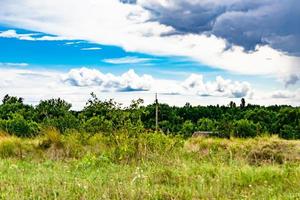 hermoso paisaje de horizonte en la pradera del pueblo sobre fondo natural de color foto