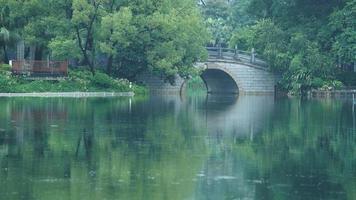 The beautiful park view with the green trees and peaceful lake in summer photo
