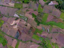 natural paisaje de Indonesia con hermosa y devanado aterrazado arroz campo patrones en el pendientes de el montañas foto