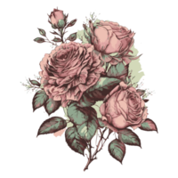 acuarela pintura de un hermosa ramo de flores de rosas