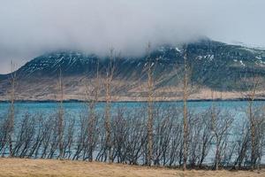 el paisaje de stodvarfjordur pueblo en este fiordo de este Islandia en nublado día. foto