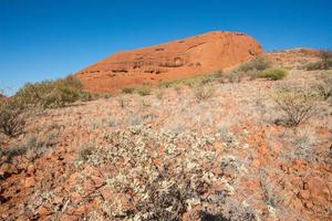 The landscape of Australian outback in Northern Territory state of Australia. photo