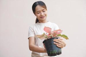 asiático mujer mirando a plantado arboles foto