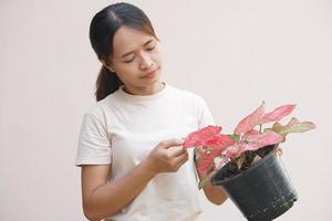 asiático mujer mirando a plantado arboles foto