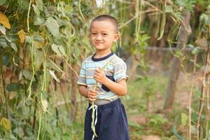 boy walking in the vegetable garden to collect vegetables to eat photo