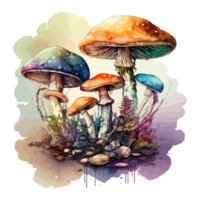 Watercolor painting about mushrooms png