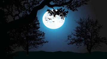 Natural beautiful night scene for cartoon animation. vector